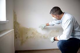 Best Real Estate Mold Inspection  in Dutch Island, GA